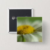 Badge Carré 5 Cm Fraîche (Devant & derrière)