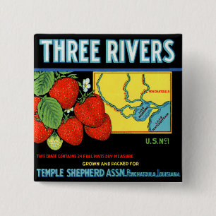 Badge Carré 5 Cm Fraises de Three Rivers