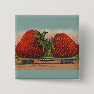 Badge Carré 5 Cm Fraises Giant Fruit Antique Fruit Amusant
