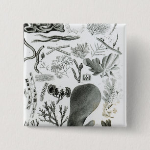 Badge Carré 5 Cm Fucus de Conferra