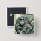 BADGE CARRÉ 5 CM FUNNY CHIMPANZEE (Devant & derrière)