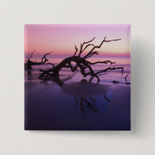 Badge Carré 5 Cm GA Jekyll Island, Cimetière d'arbres sur la plage