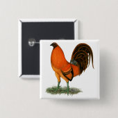 Badge Carré 5 Cm Gamecock Ginger (Devant & derrière)