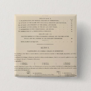 Badge Carré 5 Cm Géographie zoologique Carnivora