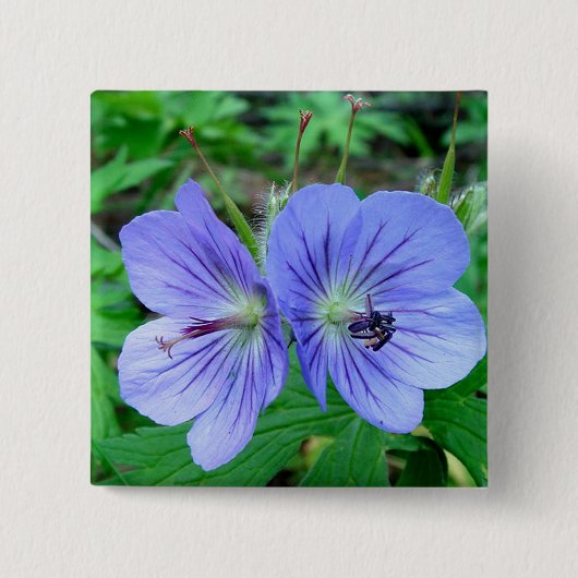 Badge Carré 5 Cm Géranium sauvage (Devant)