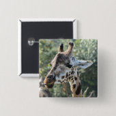 Badge Carré 5 Cm Girafe (Devant & derrière)