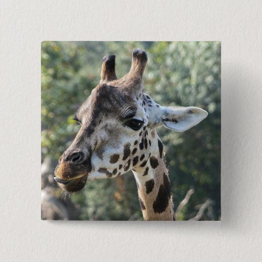 Badge Carré 5 Cm Girafe (Devant)