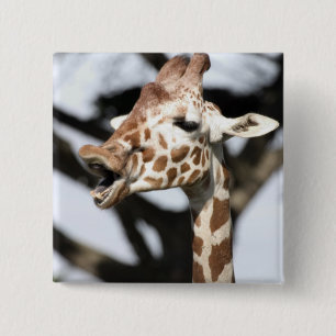 Badge Carré 5 Cm Girafe réticulée au visage drôle, San Francisco