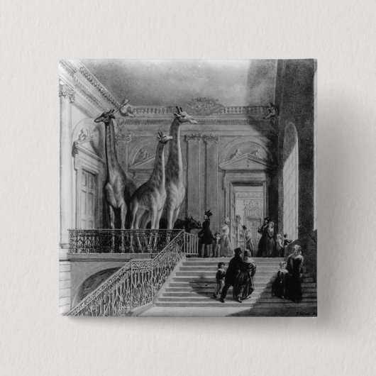 Badge Carré 5 Cm Girafes sur l'escalier dans les Anglais (Devant)