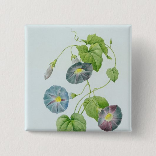 Badge Carré 5 Cm Gloire de matin (Devant)