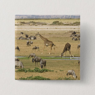 Badge Carré 5 Cm Gnous, Zèbres et Girafes