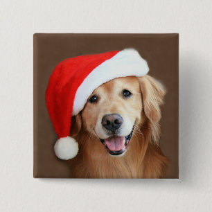 Badge Carré 5 Cm Golden retriever avec le casquette de Père Noël