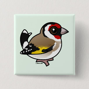 Badge Carré 5 Cm Goldfinch européen