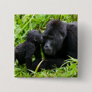 Badge Carré 5 Cm Gorille des montagnes bébé embrasse un gorille dos
