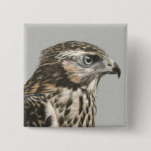 Badge Carré 5 Cm Goshawk immature