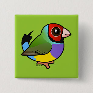 Badge Carré 5 Cm Gouldian Finch