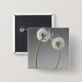 Badge Carré 5 Cm Graines connectant deux pandelions (Devant & derrière)