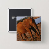 Badge Carré 5 Cm Grand éléphant rouge (Devant & derrière)