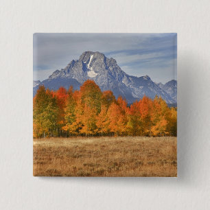 Badge Carré 5 Cm Grand Teton NP, mont Moran et trembles