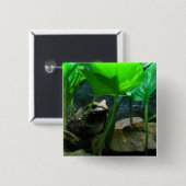 Badge Carré 5 Cm Grenouille (Devant & derrière)