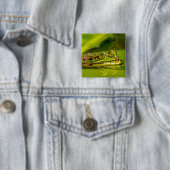 Badge Carré 5 Cm grenouille à eau (En situation)