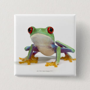 Badge Carré 5 Cm Grenouille femelle 2