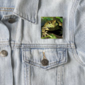 Badge Carré 5 Cm Grenouille taureau. (En situation)