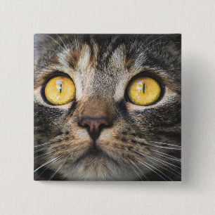 Badge Carré 5 Cm Gros plan de chat avec Yellow Eyes