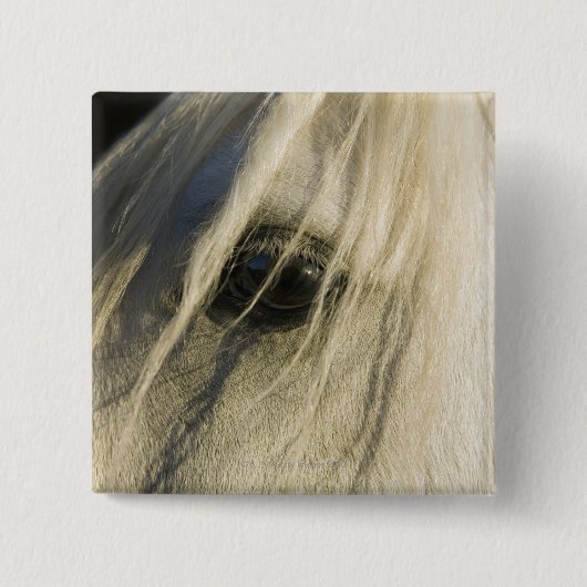 Badge Carré 5 Cm Gros plan de l'oeil du cheval (Devant)