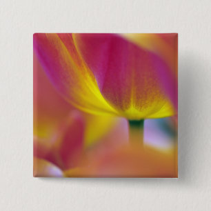 Badge Carré 5 Cm Gros plan sur le dessous d'une fleur de tulipe, Ku