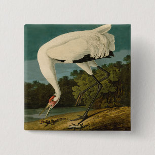 Badge Carré 5 Cm Grue blanche Audubon Peinture d'oiseaux