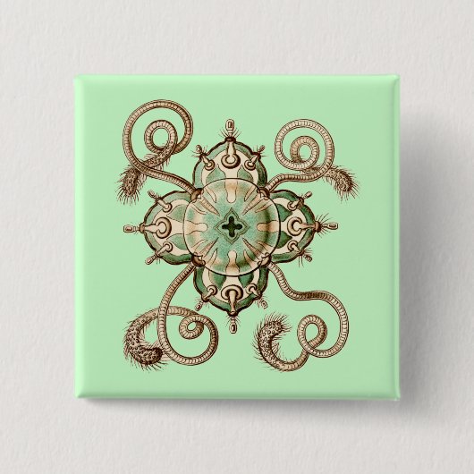 Badge Carré 5 Cm Haeckel (Devant)
