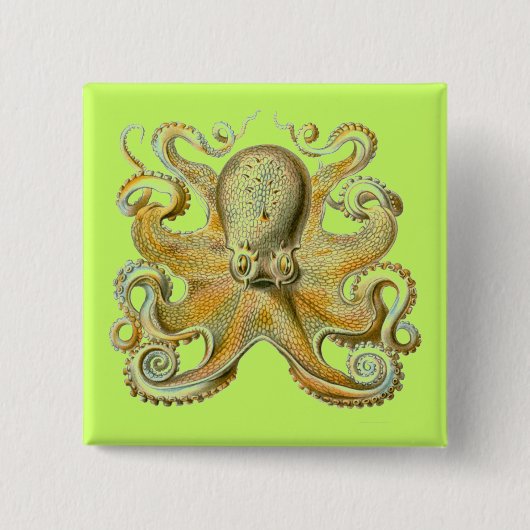 Badge Carré 5 Cm Haeckel Octopus (Devant)
