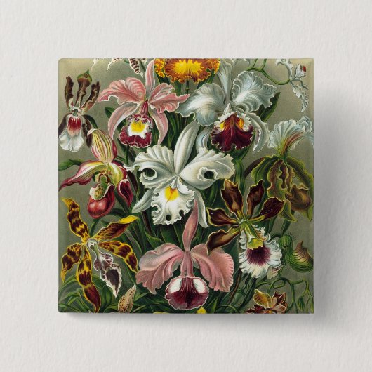 Badge Carré 5 Cm Haeckel Orchids (Devant)