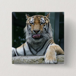 Badge Carré 5 Cm HAMbWG - Bouton Carré - Tigre