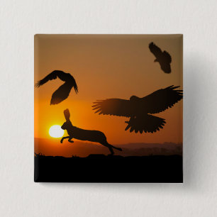 Badge Carré 5 Cm Harris Hawks