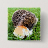 BADGE CARRÉ 5 CM HÉDGEHOG (Devant)