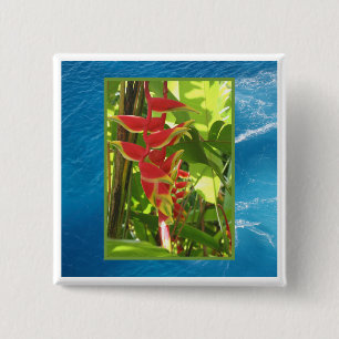Badge Carré 5 Cm Heliconia rostrata