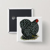 Badge Carré 5 Cm Hen Cochin Bouché (Devant & derrière)