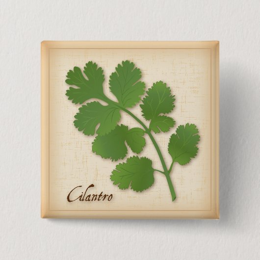 Badge Carré 5 Cm Herbe Cilantro (Devant)