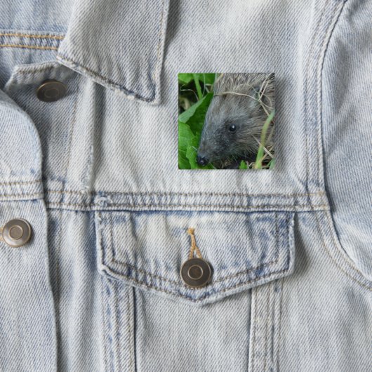 Badge Carré 5 Cm Hérisson #1 (En situation)