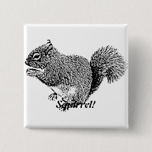 Badge Carré 5 Cm Hey Squirus