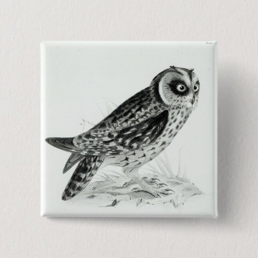 Badge Carré 5 Cm Hibou (Devant)