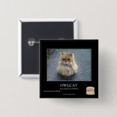 Badge Carré 5 Cm Hibou (Devant & derrière)