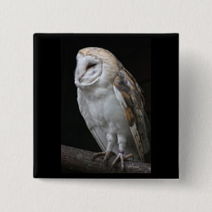 Badge Carré 5 Cm Hibou de grange