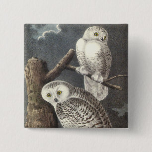 Badge Carré 5 Cm Hibou de Milou, John Audubon