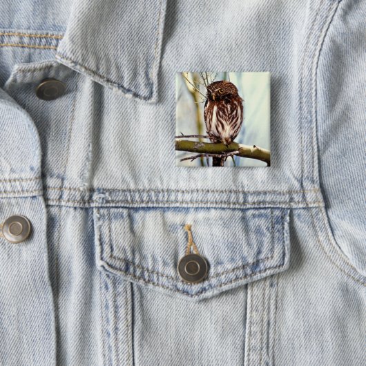 Badge Carré 5 Cm Hibou pygméen (En situation)