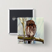 Badge Carré 5 Cm Hibou pygméen (Devant & derrière)