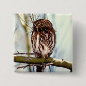 Badge Carré 5 Cm Hibou pygméen (Devant)