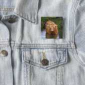 Badge Carré 5 Cm Highland Cattle (En situation)